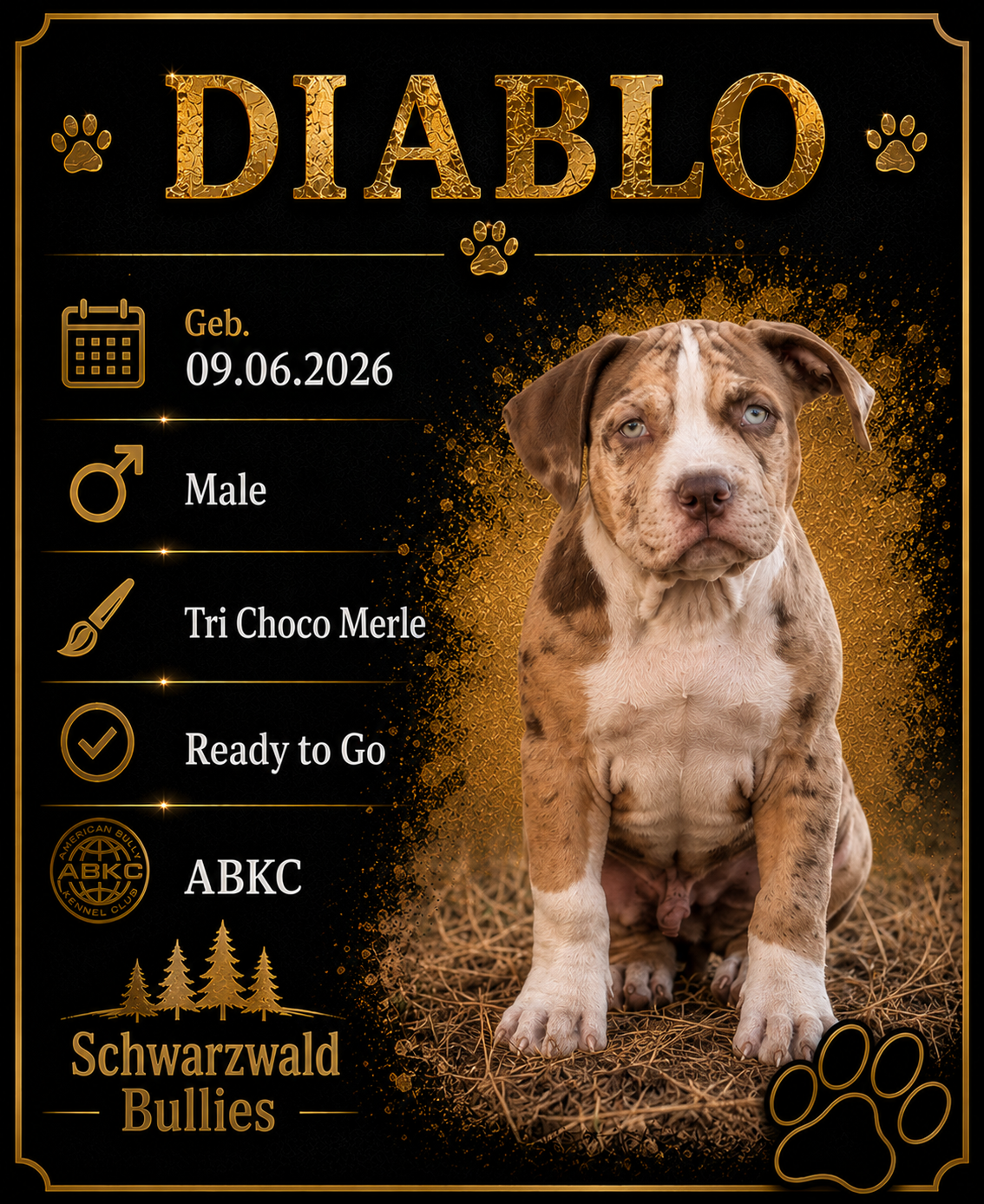 diablo