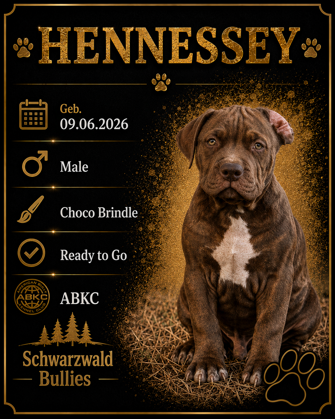 hennessey