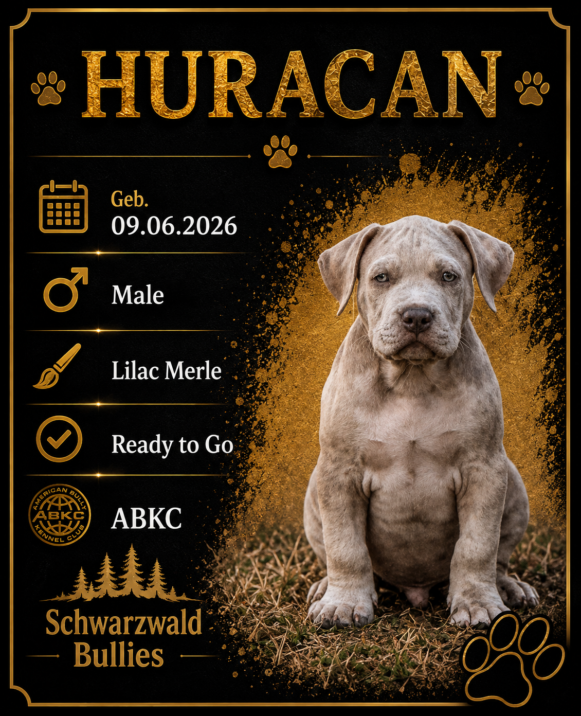huracan